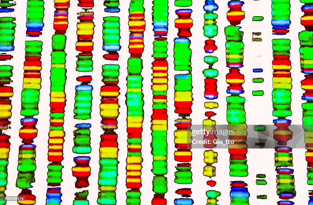 DNA-sequence