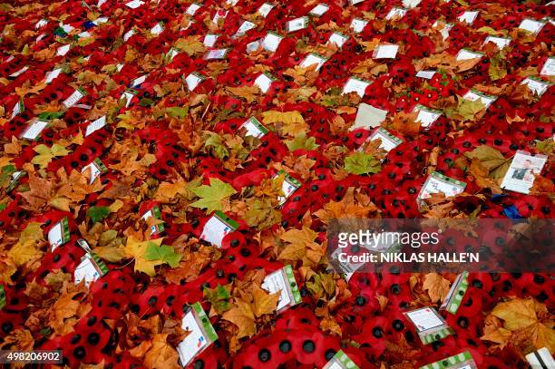 Autumn leaves fall onto wreaths made of replica poppies beside the Cenotaph in central London, on November 21, 2015. AFP PHOTO / NIKLAS HALLE'N