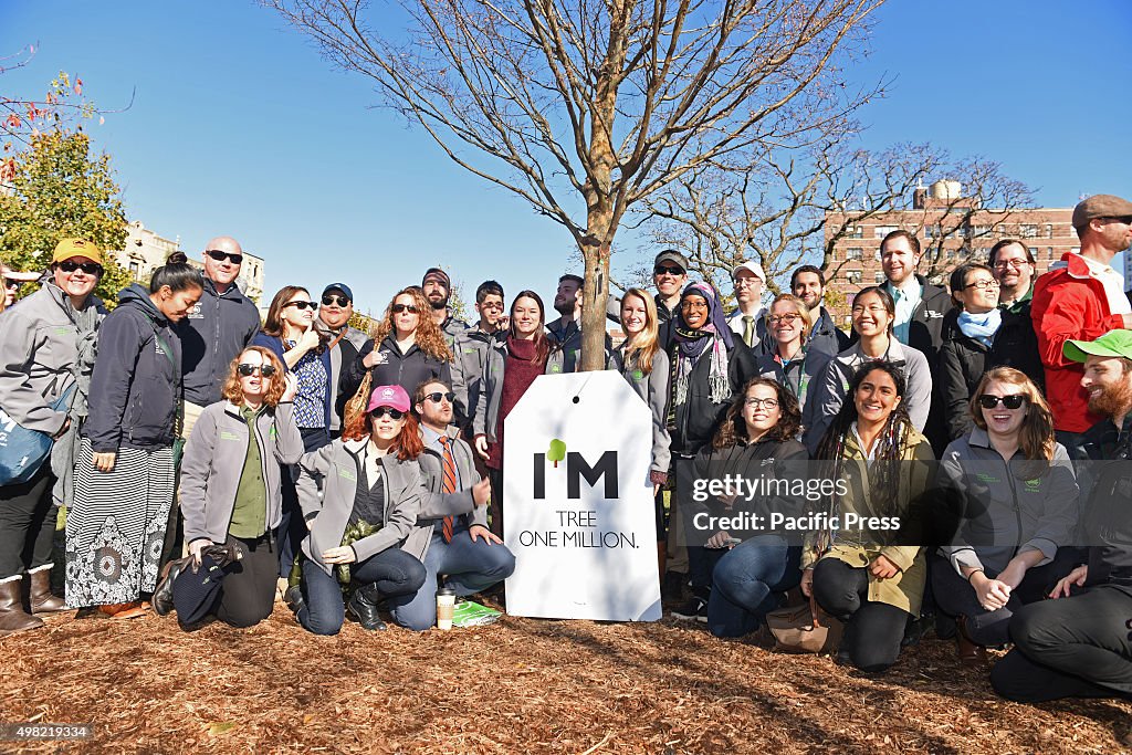 NYC Parks Department workers pose around one millionth tree...