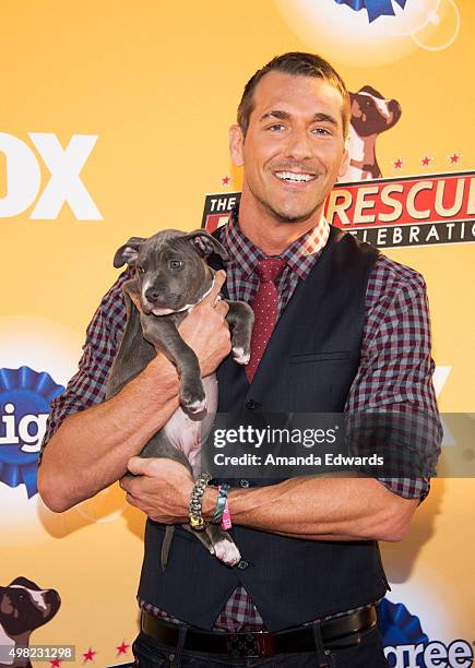 Animal trainer Brandon McMillan arrives at the All-Star Dog Rescue Celebration at Barker Hangar on November 21, 2015 in Santa Monica, California.