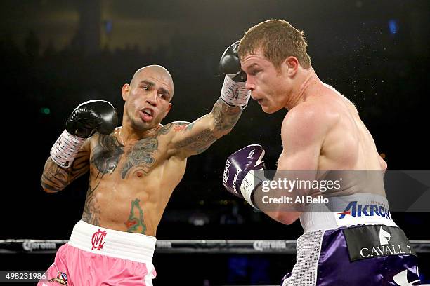 Miguel Cotto throws a left to the face of Canelo Alvarez during their middleweight fight at the Mandalay Bay Events Center on November 21, 2015 in...