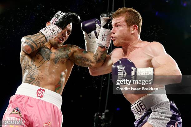 Miguel Cotto and Canelo Alvarez exchange blows during their middleweight fight at the Mandalay Bay Events Center on November 21, 2015 in Las Vegas,...