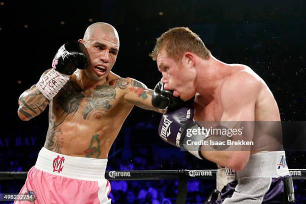 Miguel Cotto throws a left to the face of Canelo Alvarez during their middleweight fight at the Mandalay Bay Events Center on November 21, 2015 in...