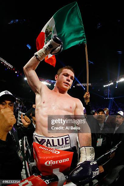 Canelo Alvarez celebrates after defeating Miguel Cotto by unanimous decision in their middleweight fight at the Mandalay Bay Events Center on...