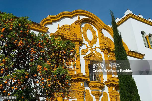 Beautiful architecture of the Argentine Pavilion built for the Ibero-American Exposition of 1929 was a world's fair held in Seville, Spain with...