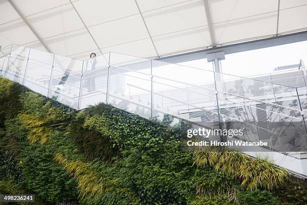woman talking on stairs with a green wall - roof garden stock pictures, royalty-free photos & images