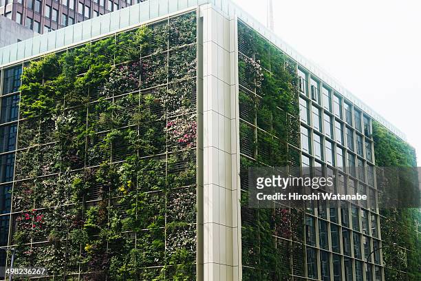 the building with the green wall - wall city foto e immagini stock