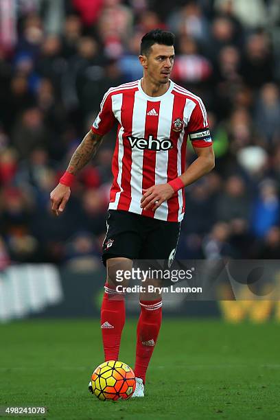 Jose Fonte of Southampton in action during the Barclays Premier League match between Southampton and Stoke City at St Mary's Stadium on November 21,...