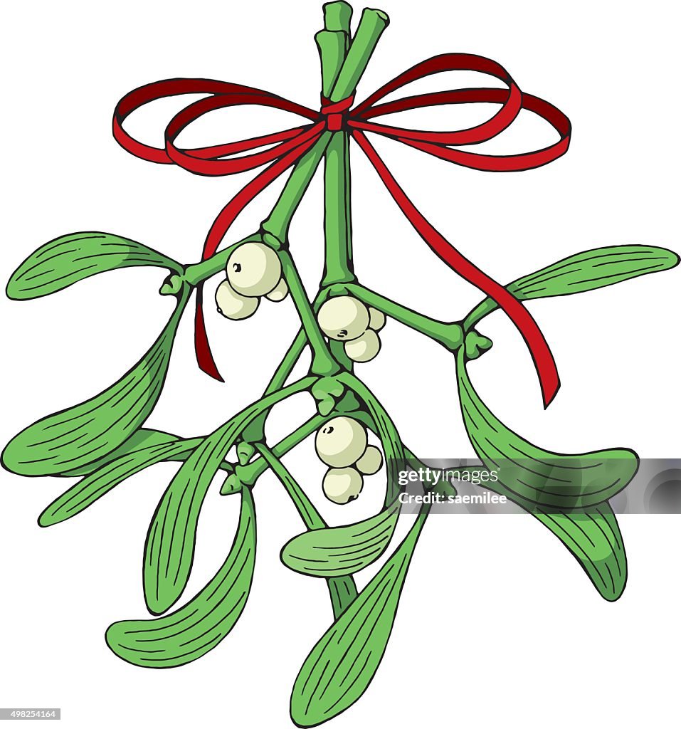 Mistletoe avec un ruban rouge