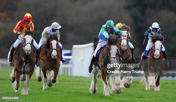 Exeter Trail Races 17 The Exeter Racecourse Clydesdale Stakes Stock Photos, High-Res ...