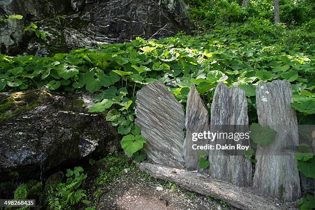 rock feature, innisfree garden in millbrook, ny - rock garden stockfoto's en -beelden