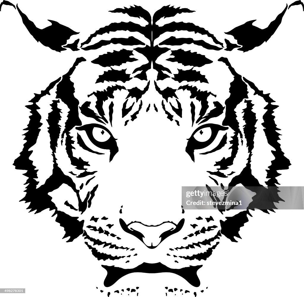 Tiger Stripes High-Res Vector Graphic - Getty Images