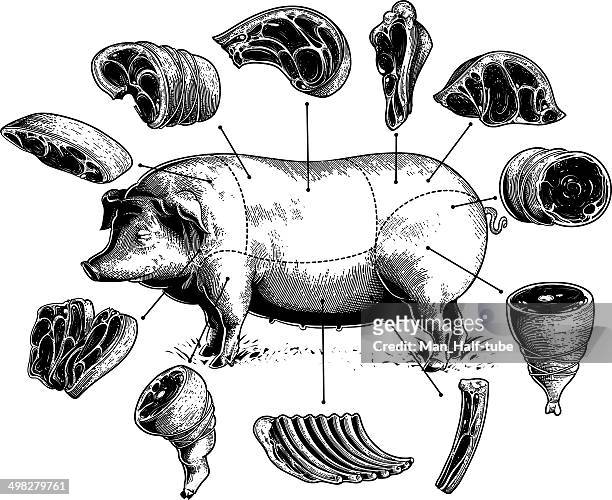 ilustraciones, imágenes clip art, dibujos animados e iconos de stock de cortes de carne de cerdo - butchers shop