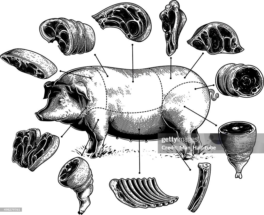 Cuts of Pork