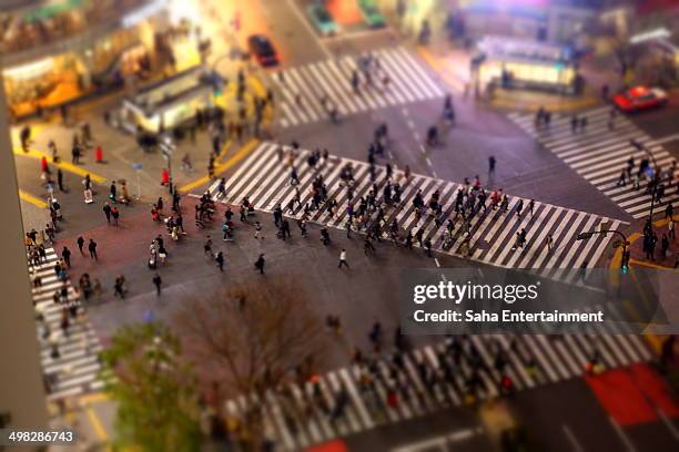 close up shibuya crossing at night - チルトシフト ストックフォトと画像