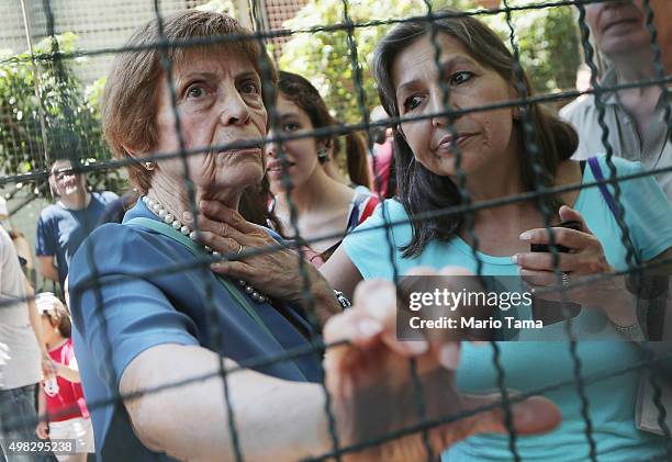 Onlookers attempt to catch a glimpse outside the polling station where candidate Mauricio Macri voted on November 22, 2015 in Buenos Aires,...