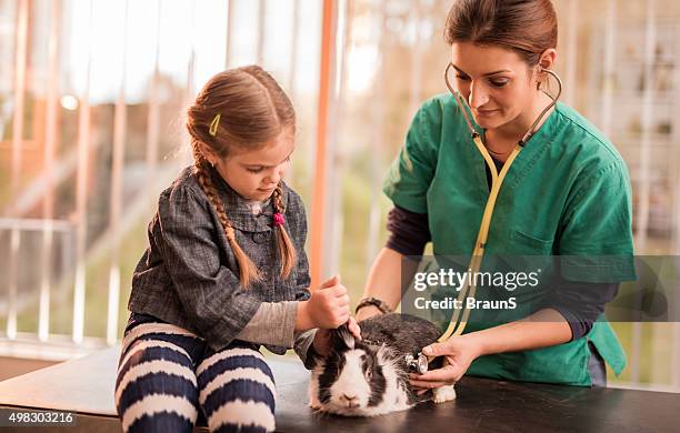 466 Get To Know Your Rabbit Stock Photos, High-Res Pictures, and Images ...