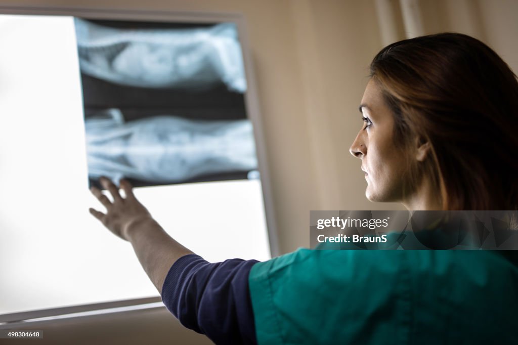 Young female radiologist looking at an X-ray image.