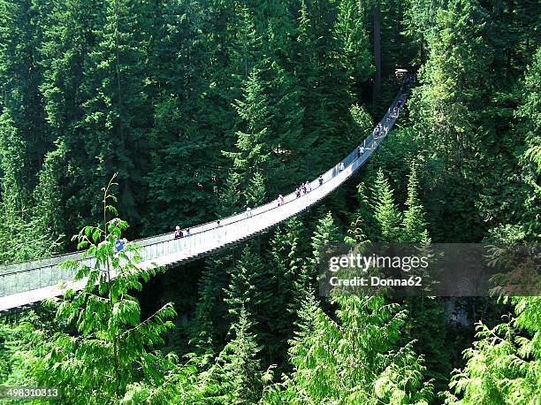 capilano suspension bridge - suspension bridge stock pictures, royalty-free photos & images