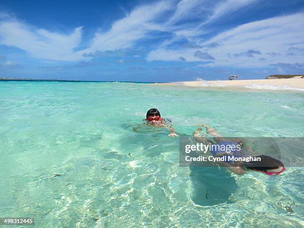 kids swimming in the caribbean - cay stock pictures, royalty-free photos & images