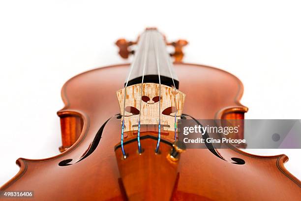 violin seen from below - violino stockfoto's en -beelden