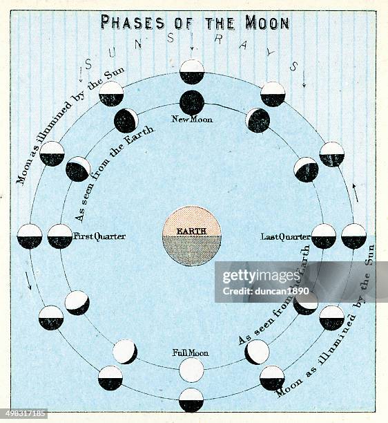 illustrazioni stock, clip art, cartoni animati e icone di tendenza di fasi di luna - immagini in sequenza