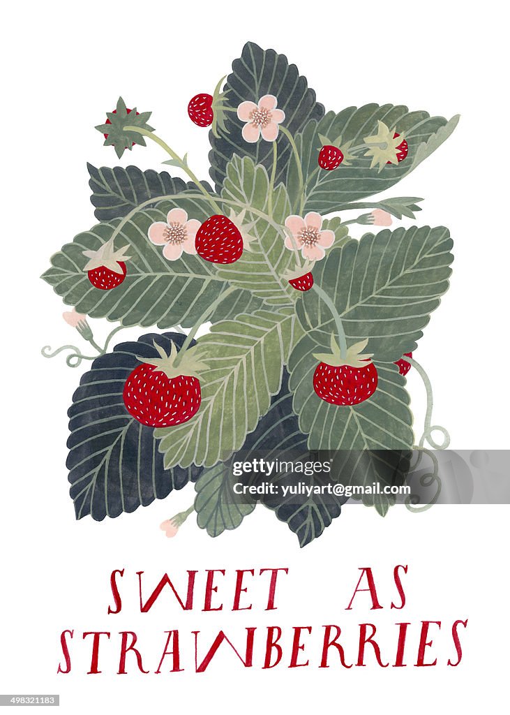 Sweet as strawberries