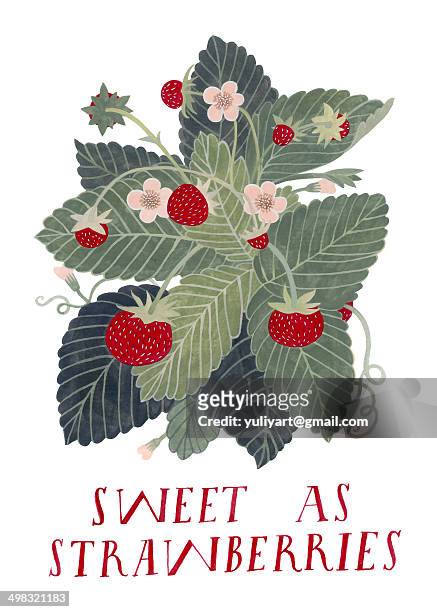 sweet as strawberries - london ontario stock illustrations