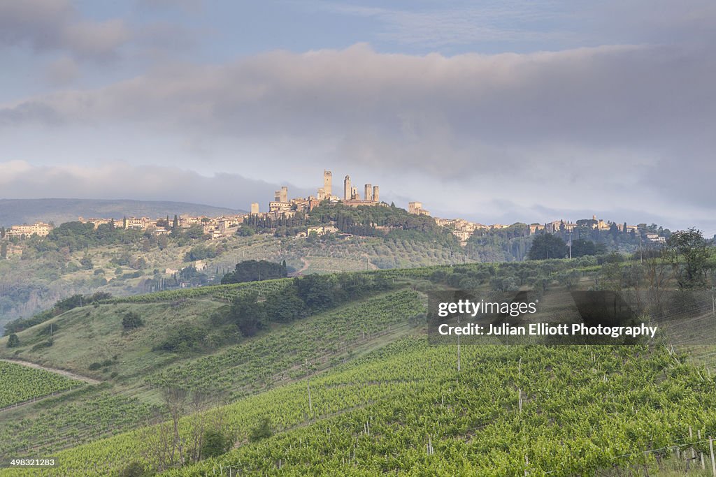 Vineyards near to San Gimignano, Tuscany.