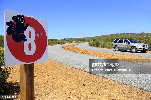 a speed limit sign with image of koala - coala imagens e fotografias de stock