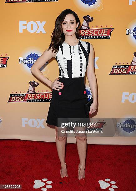 Actress Emmy Rossum attends the All-Star Dog Rescue Celebration at Barker Hangar on November 21, 2015 in Santa Monica, California.