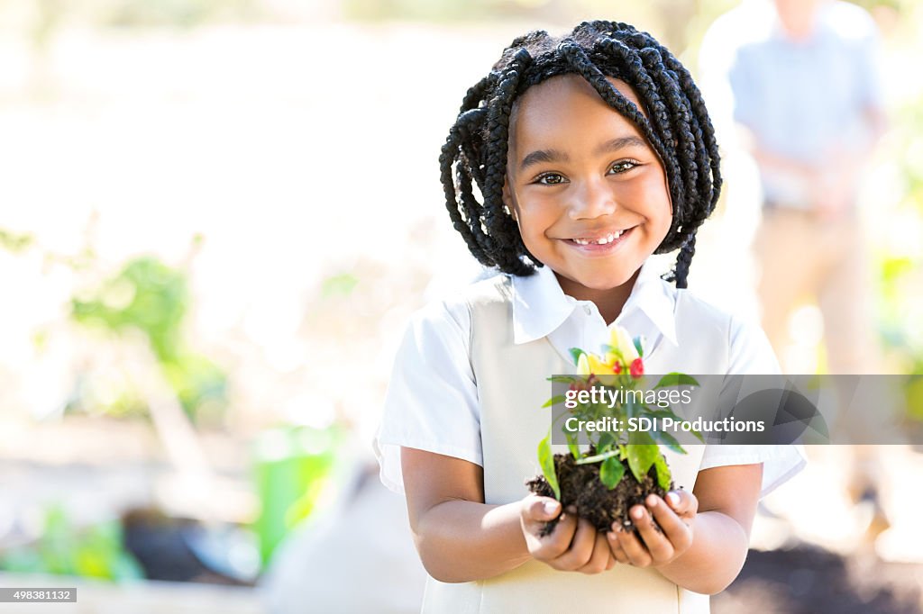 Menina afro-americana plantação produtos hortícolas durante a viagem de campo
