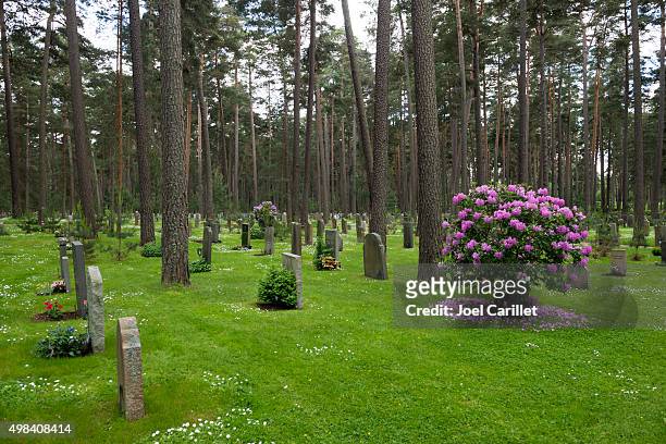 skogskyrkogarden cemetery in stockholm, sweden - evergreen cemetery stock pictures, royalty-free photos & images