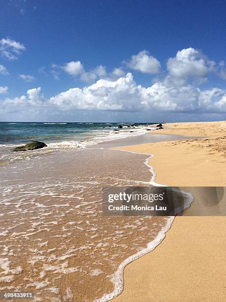 world ocean day - north shore oahu stock pictures, royalty-free photos & images