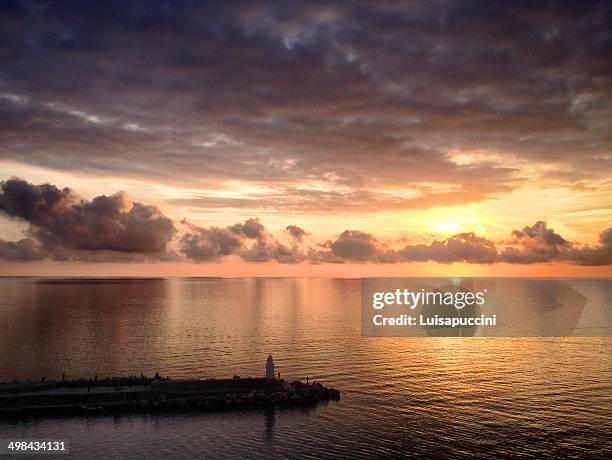 world ocean day - luisapuccini stock pictures, royalty-free photos & images