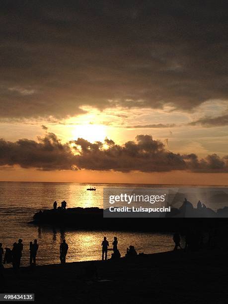 world ocean day - luisapuccini stock pictures, royalty-free photos & images