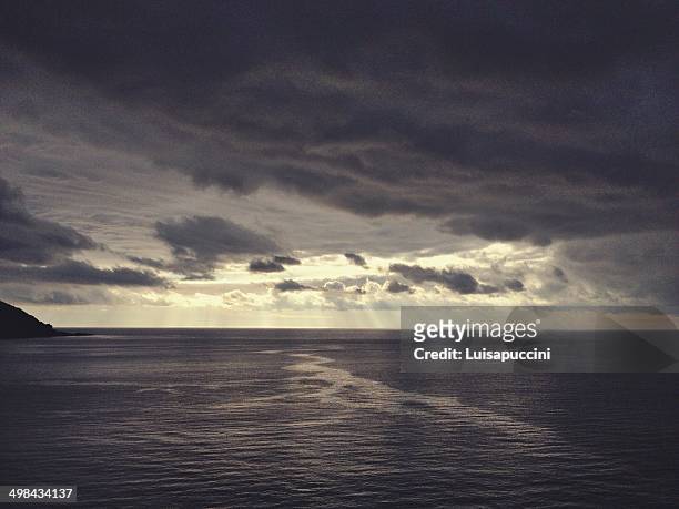 world ocean day - luisapuccini foto e immagini stock