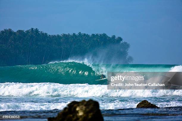 world ocean day - world oceans day bildbanksfoton och bilder