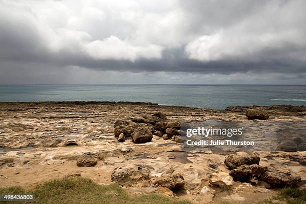 world ocean day - waianae_hawaii stock pictures, royalty-free photos & images