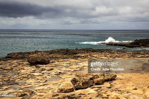 world ocean day - waianae_hawaii stock pictures, royalty-free photos & images