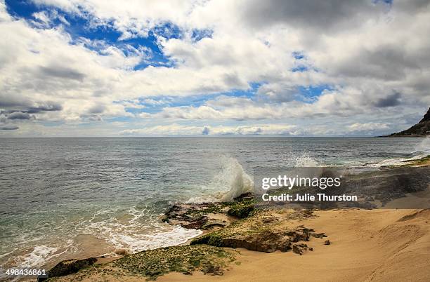 world ocean day - waianae_hawaii stock pictures, royalty-free photos & images