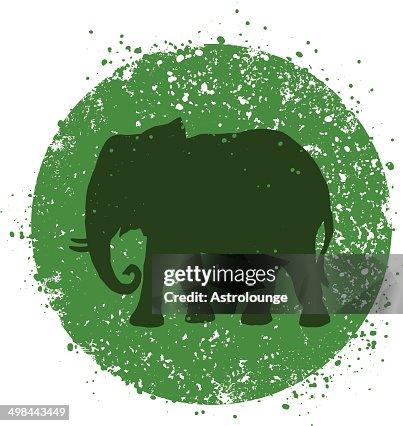 Elephant Elephant