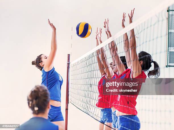 female volleyball team in action. - 擋 個照片及圖片檔