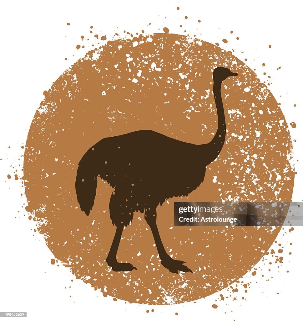 Ostrich