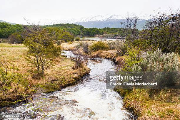 brook flowing on tierra del fuego national park - brook steppe photos et images de collection