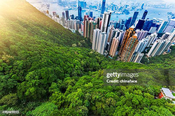 hong kong in sunset - building top stock pictures, royalty-free photos & images