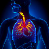 Bronchiolitis - Inflammation of the bronchioles