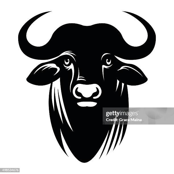 illustrazioni stock, clip art, cartoni animati e icone di tendenza di buffalo illustrazione vettoriale-vettoriale - bufalo indiano
