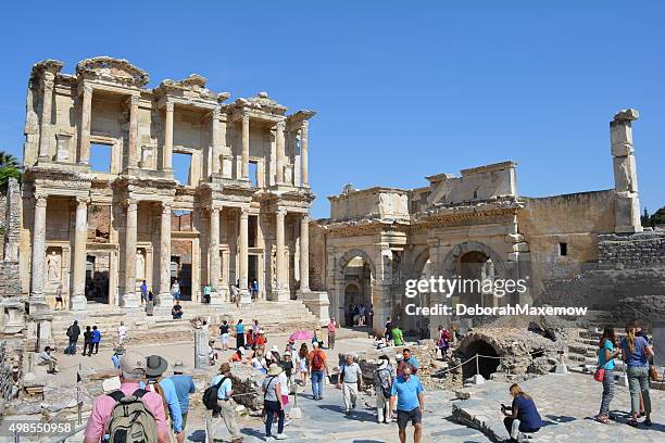 Celcus Celcus Photos and Premium High Res Pictures - Getty Images