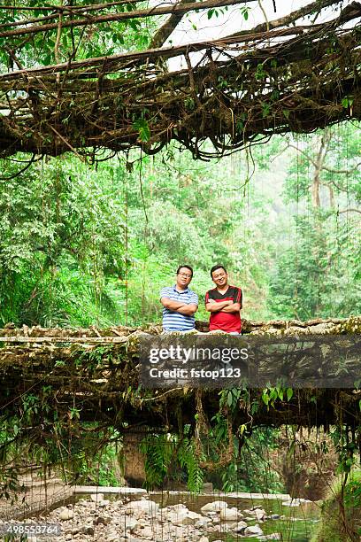 Vine Rope Bridge Tropical Rainforest Rope Bridge Photos and Premium High Res Pictures ...